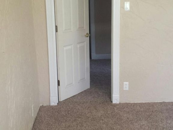 Plush carpet in bedroom