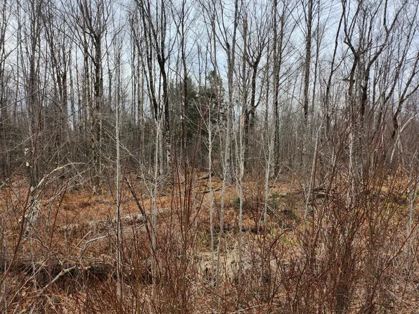 Lot 29-4 Windfall Lane, Palmyra, ME 04965