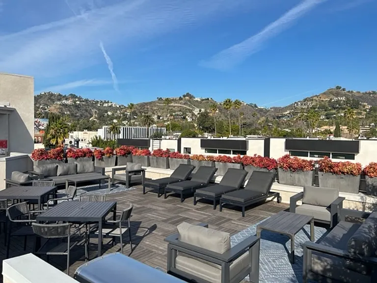 The Curson — Photo 4