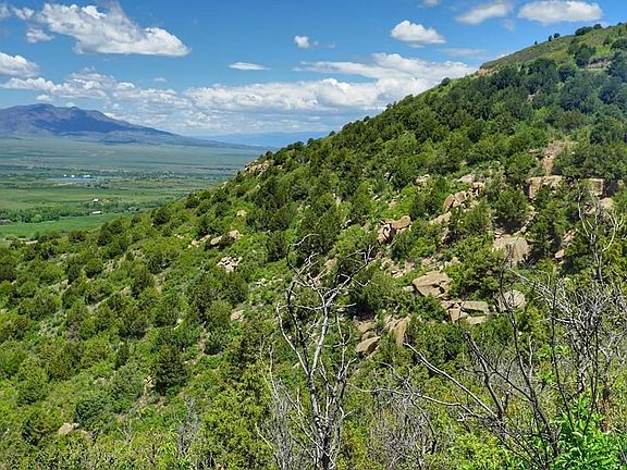 5th image of Tbd County Road 360