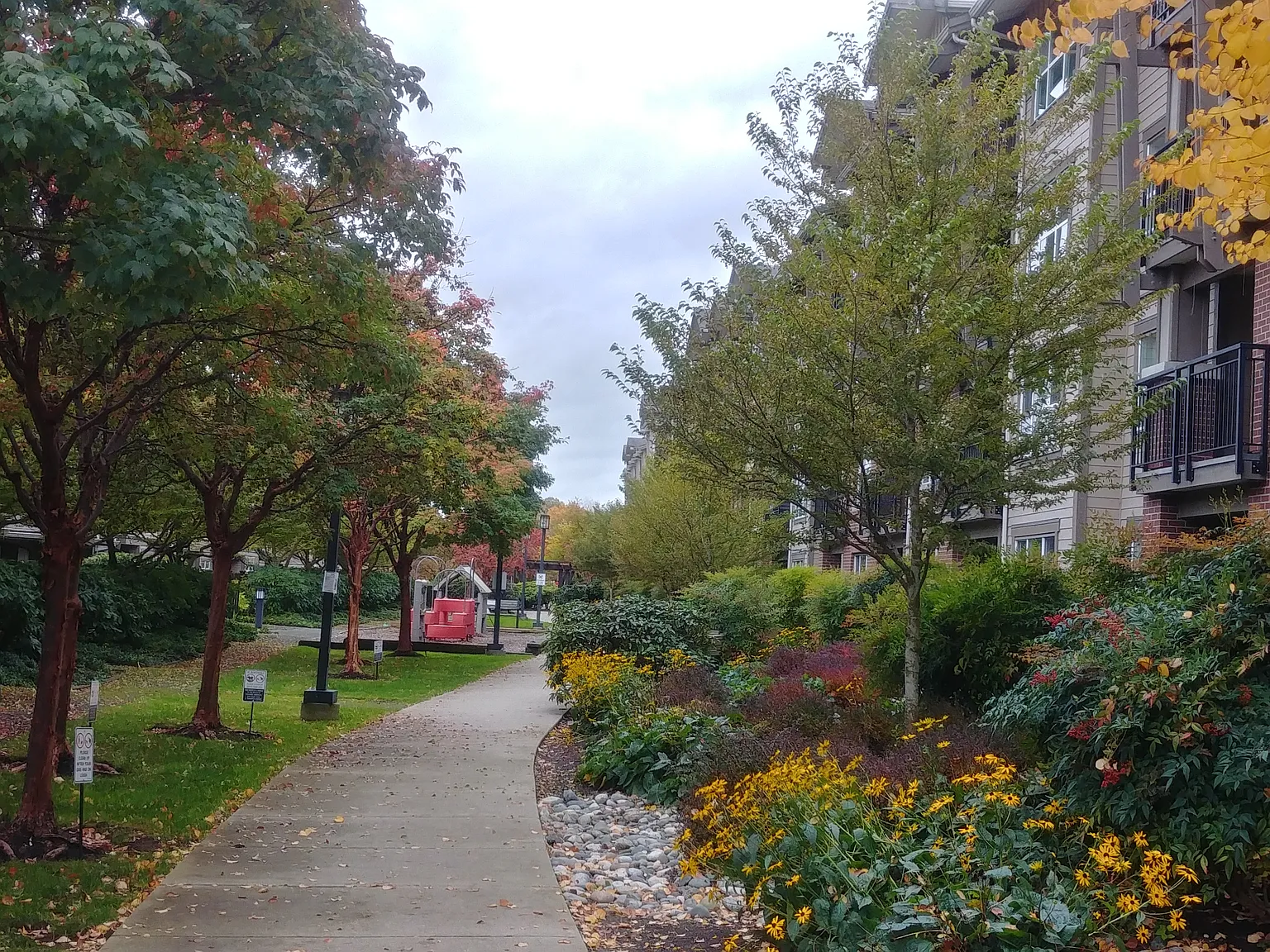 1 bed, 620 sqft, $2,100 — Photo 2