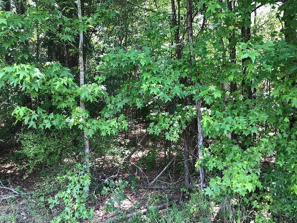 2nd image of Creekdale Loop Rd