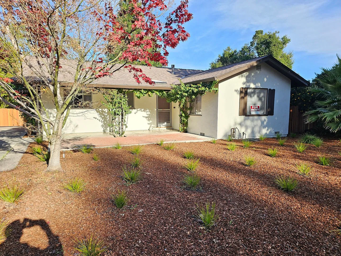 Charming 3 Bed 1.5 bath home in beautiful Leland Manor Neighborhood Available Now — Photo 1