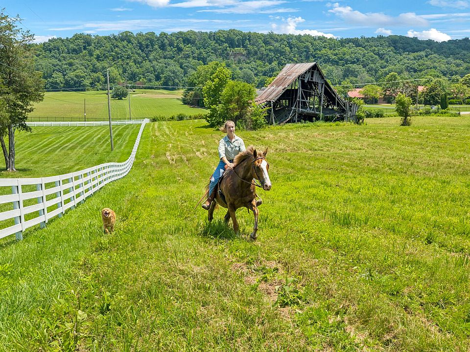 10th image of this home