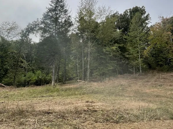 0 Kizer Ridge Rd Lot 3, Erin, TN 37061