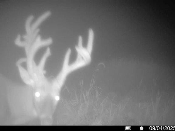 2nd image of 0 Fortune Rd