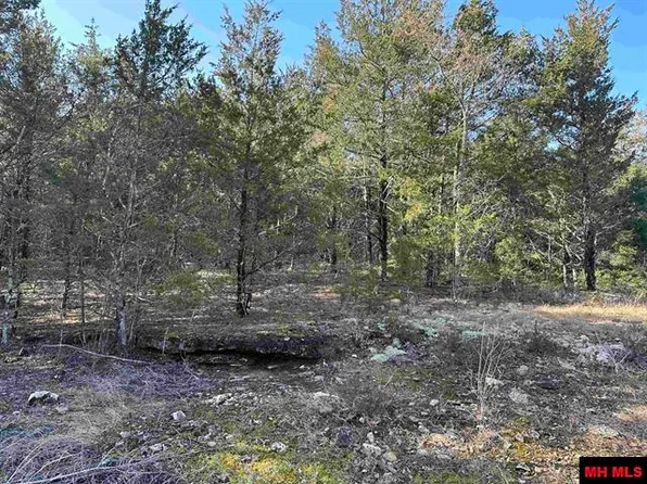 140 Mc #2035, Lead Hill, AR 72644