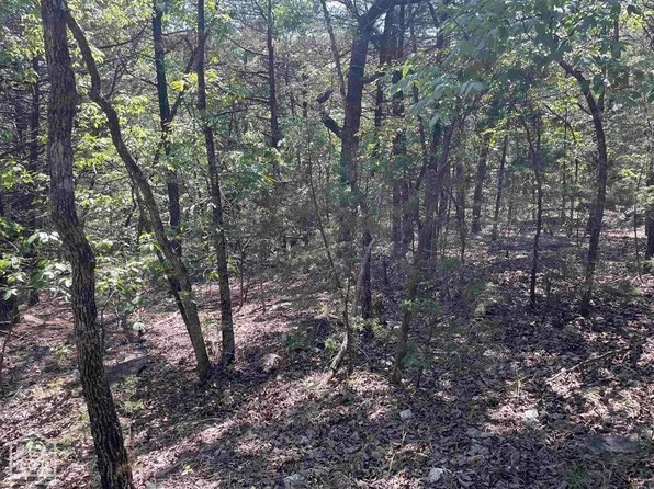 0 Oak Ridge Ln, Smithville, AR 72466