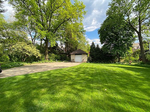 Large, level back yard.