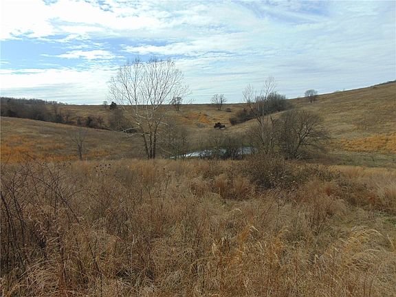 2nd image of 1484 County Road 734