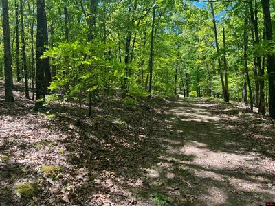 001-00565-000 Mc #6042, Yellville, AR, 72687