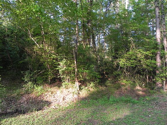 5th image of Tbd Lot 54 Forest Hills