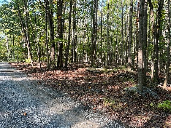3rd image of Pioneer Ln