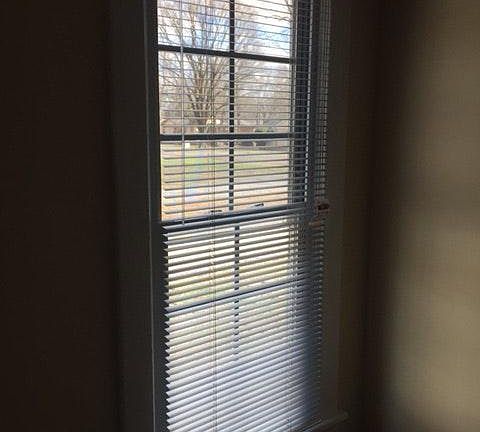 Large Windows Custom Blinds