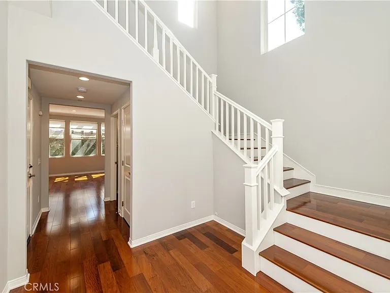 24 Shellbark — Photo 2