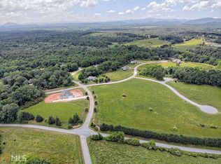 42 Meadow Run Ct, Clarkesville, GA 30523