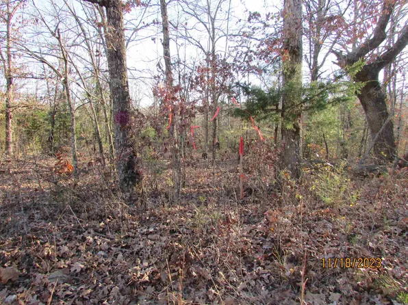 0 Newsom Trail & Janes Creek Rd, Ravenden Springs, AR 72460