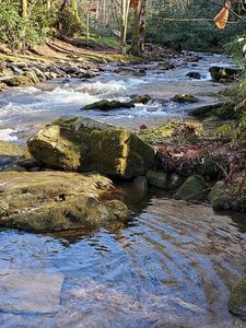 423 Timber Estates Rd, Bryson City, NC, 28713
