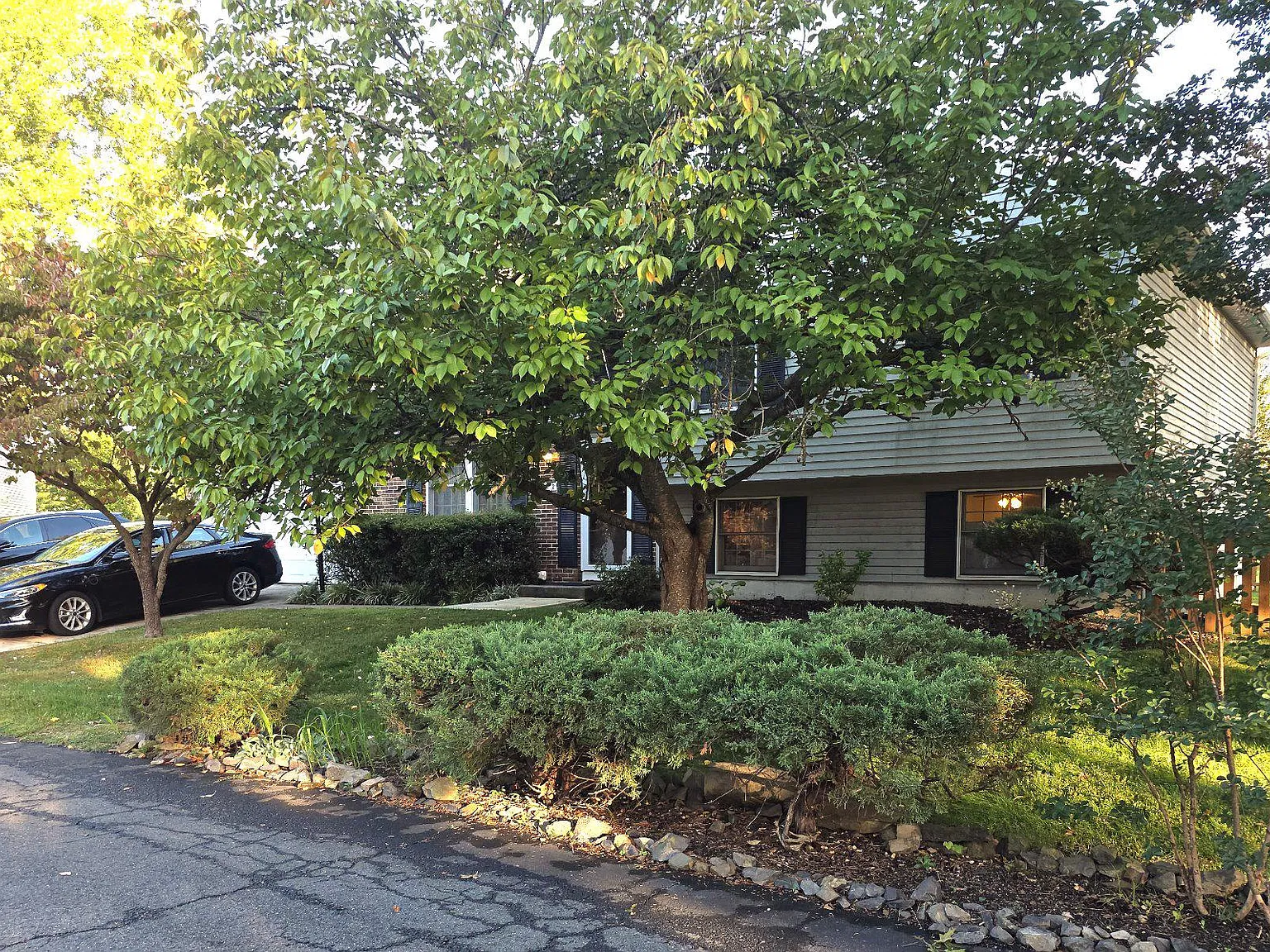 3 bed, 4.0 bath, 2080 sqft, $3,900 — Photo 2