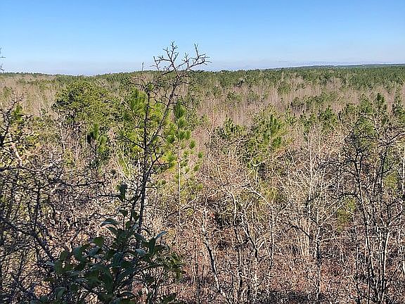 One of the many homesites 