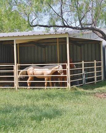 another view of stable