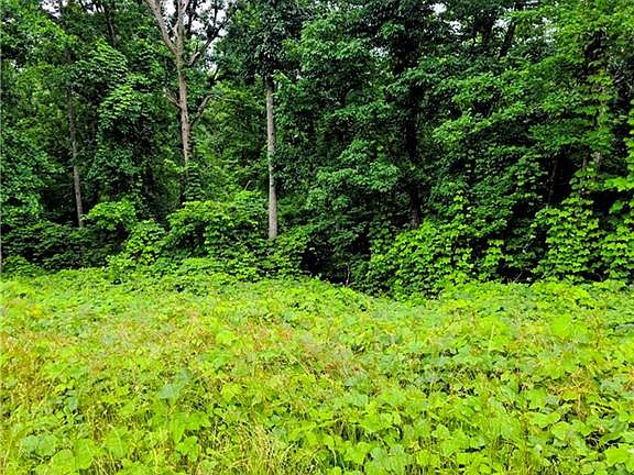 5th image of Cowart Mountain Tract Road 2