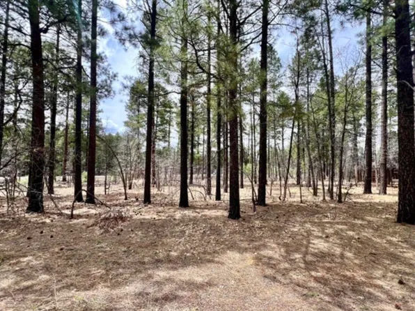 4024 Latigo Way, Pinetop, AZ 85935