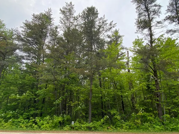 14777 N Whitefish Point Rd, Paradise, MI 49768
