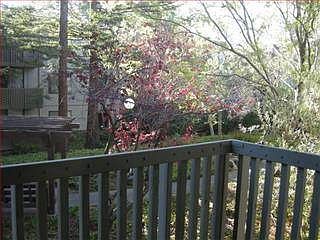 1st image of 2234 Shelter Creek Ln