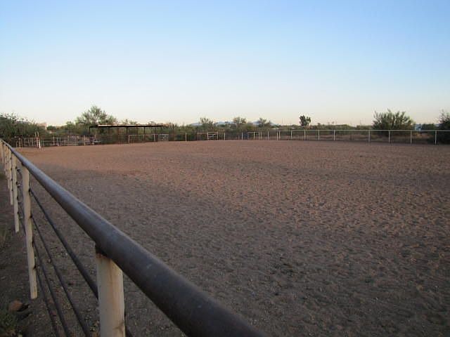 Arena 140x275