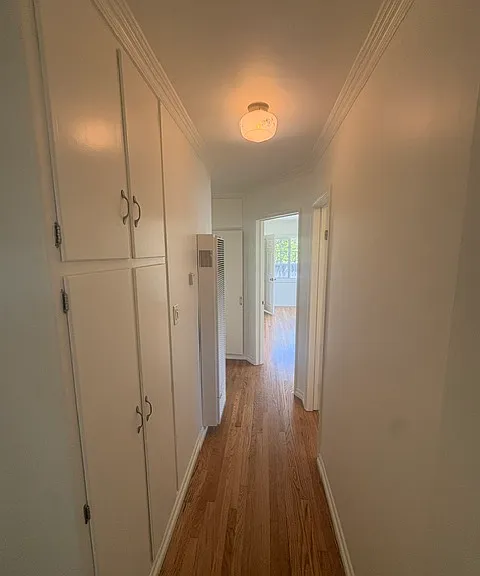 223 Lillian Pl — Photo 14