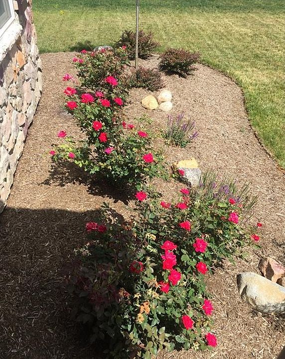 4469 Brownstone Ln, Medina, OH 44256 Zillow