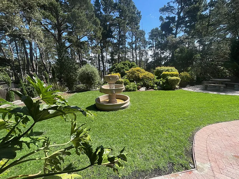 284 Forest Ridge Rd — Photo 20