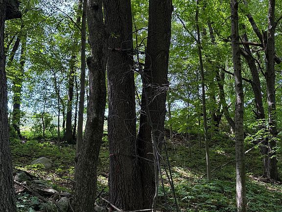 5th image of 28 Mile Rd