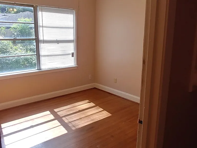 104 Caladium St — Photo 14