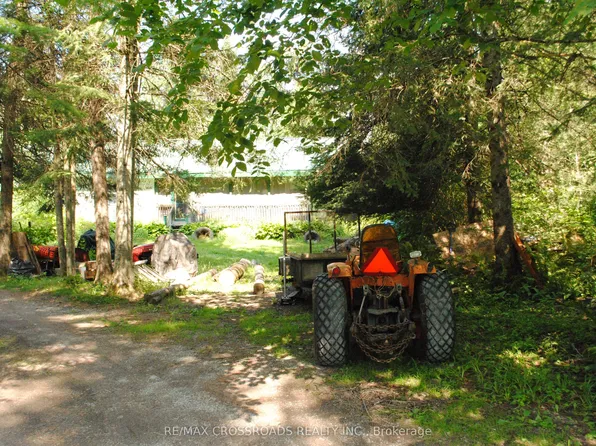60 Brook Rd, Kawartha Lakes, ON K0M 1N0