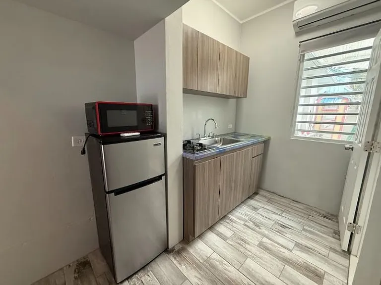 515 Calle Barbe Apt Loft Santurce — Photo 3