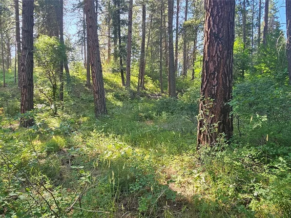 21815 Colt Road, Leavenworth, WA 98826