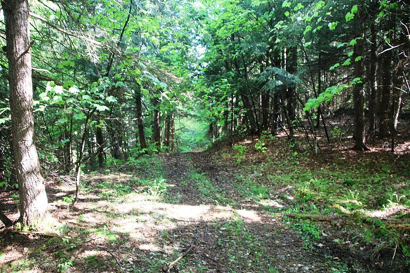 2nd image of MUD LAKE Road