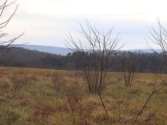 4th image of 0 County Road 782