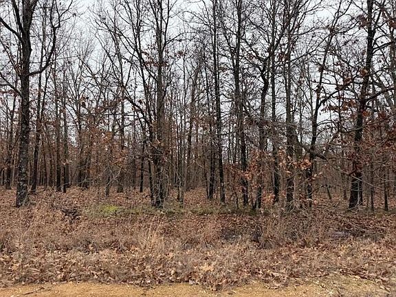 3rd image of 6.47 Acres Hawkweed Trail