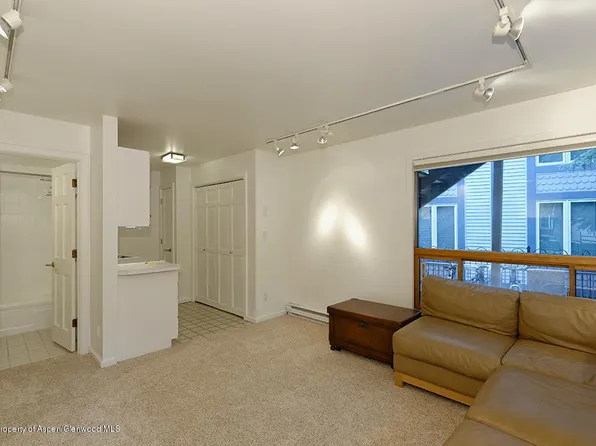 900 E Hopkins Ave APT 4, Aspen, CO 81611