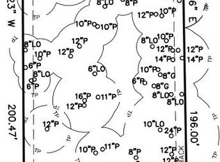 145 Limehouse Dr, Summerville, SC 29485