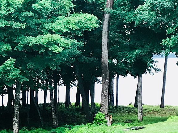 other view from the lot