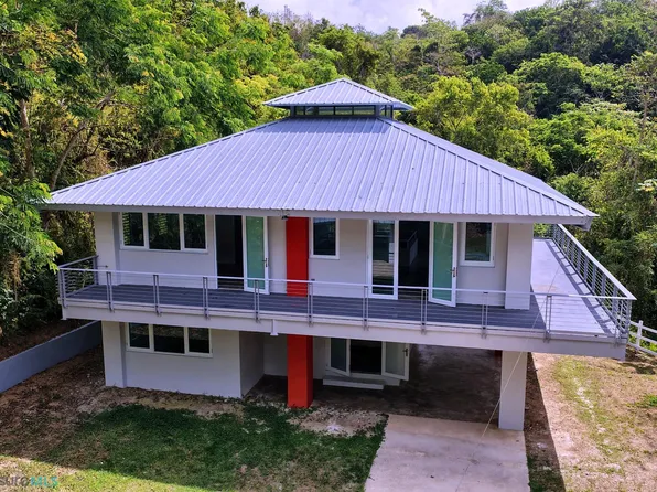 Carr 794 Caguitas, Aguas Buenas, PR 00703