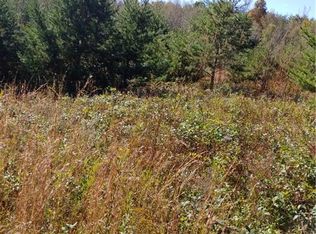 1160 Calhoun Rd, Westfield, NC 27053