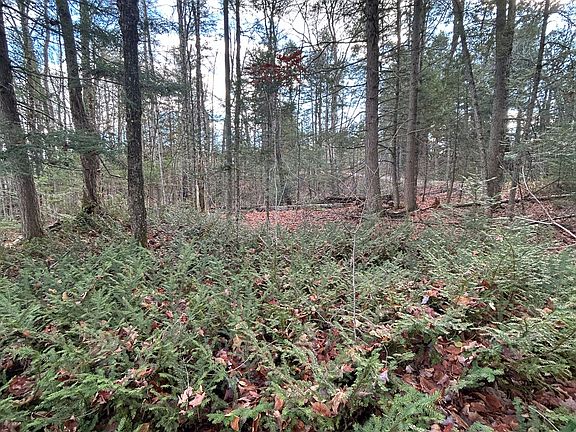 5th image of 0 Mill Lake Rd