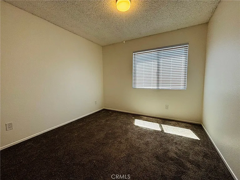 11919 Rudbeckia Cir — Photo 19