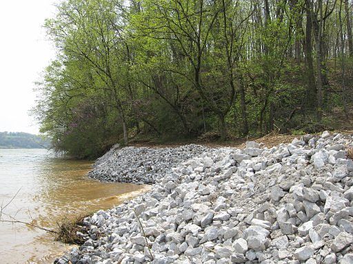 2nd image of 295 Vineyard Cove Dr