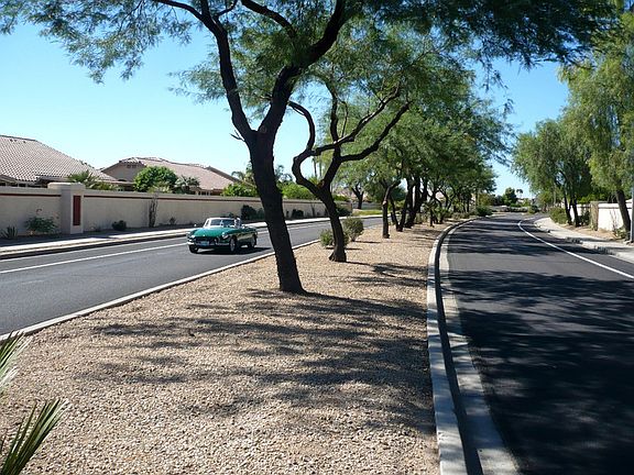 Tree-lined streets